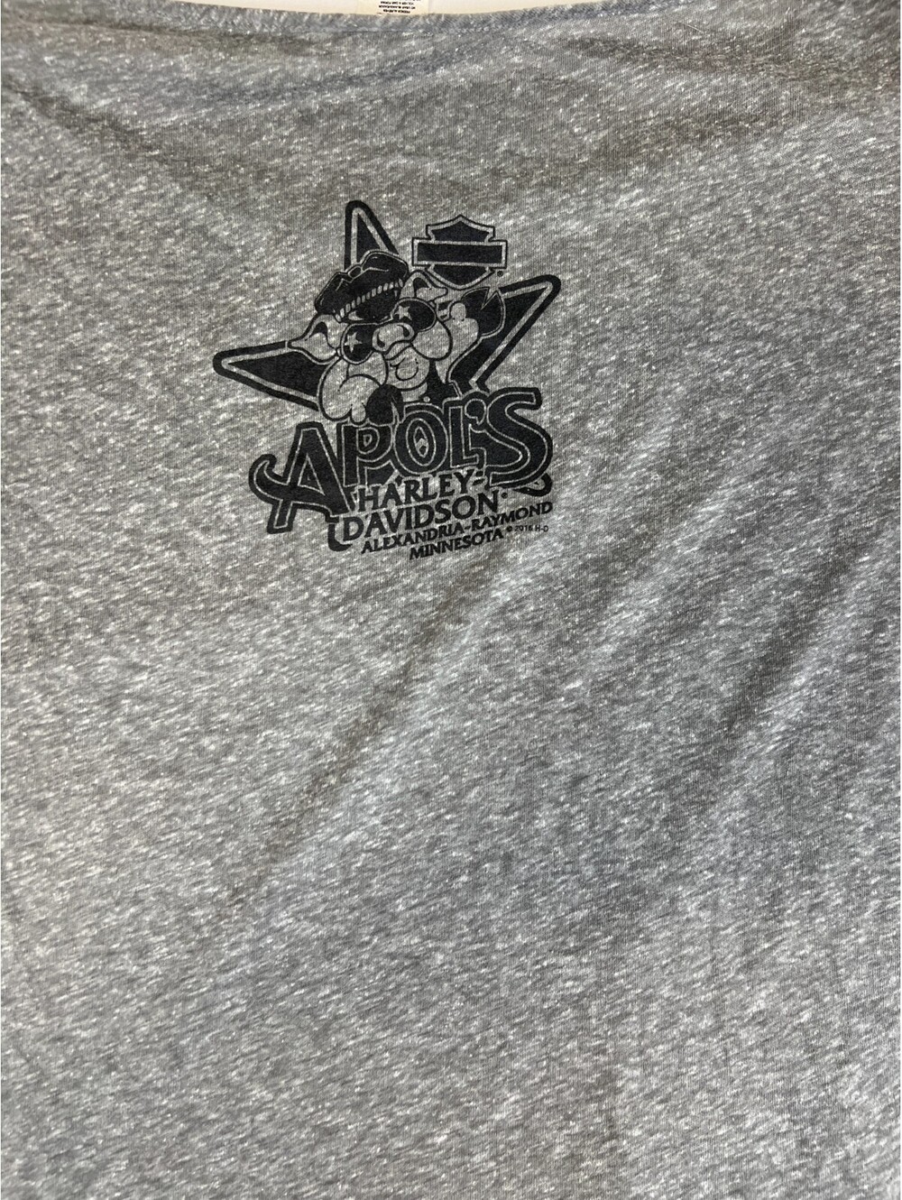 Harley-Davidson Women L Retro Apol's Alexandria Raymond Minnesota Gray T-Shirt - Picture 4 of 8